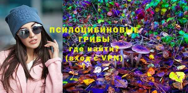 герыч Белокуриха