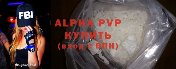 ГАЛЛЮЦИНОГЕННЫЕ ГРИБЫ Богданович