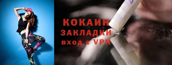 ГАЛЛЮЦИНОГЕННЫЕ ГРИБЫ Богданович