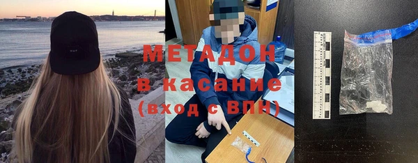 ГАЛЛЮЦИНОГЕННЫЕ ГРИБЫ Богданович