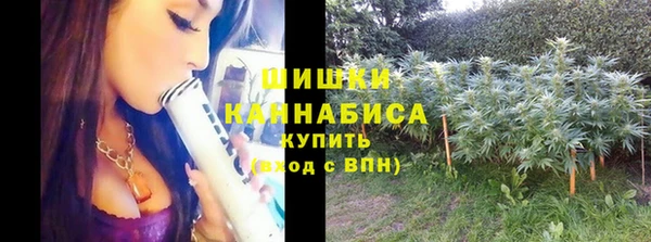 ГАЛЛЮЦИНОГЕННЫЕ ГРИБЫ Богданович