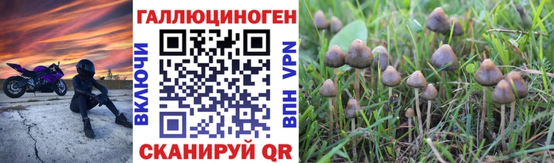 Галлюциногенные грибы ЛСД  Купить закладки  Тайшет 